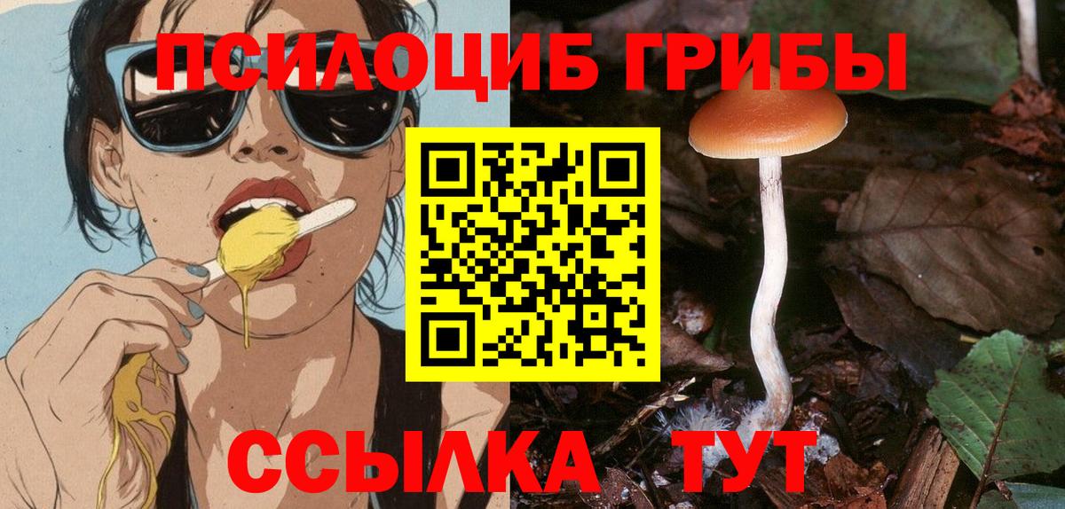 Галлюциногенные грибы Magic Shrooms Солнечногорск